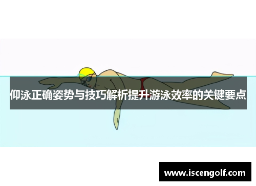 仰泳正确姿势与技巧解析提升游泳效率的关键要点