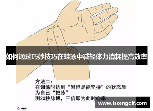 如何通过巧妙技巧在蛙泳中减轻体力消耗提高效率