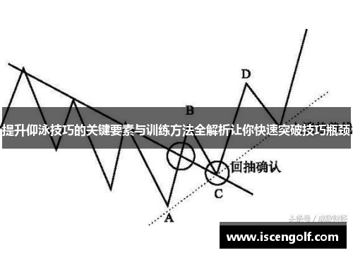 提升仰泳技巧的关键要素与训练方法全解析让你快速突破技巧瓶颈