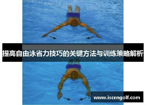 提高自由泳省力技巧的关键方法与训练策略解析