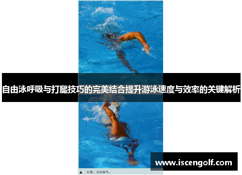 自由泳呼吸与打腿技巧的完美结合提升游泳速度与效率的关键解析