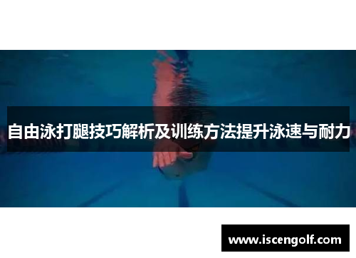 自由泳打腿技巧解析及训练方法提升泳速与耐力