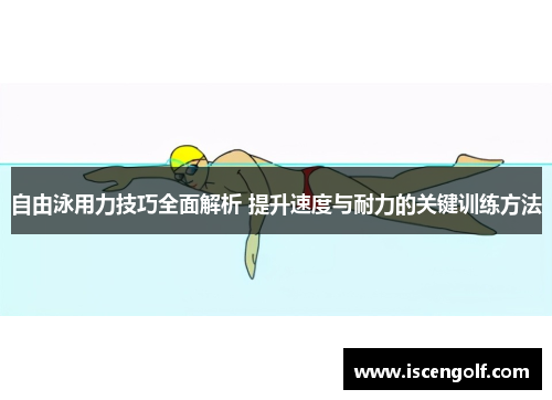 自由泳用力技巧全面解析 提升速度与耐力的关键训练方法