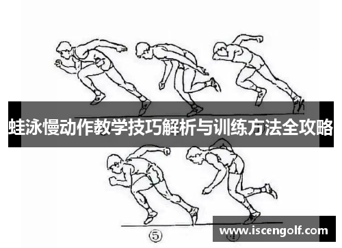 蛙泳慢动作教学技巧解析与训练方法全攻略