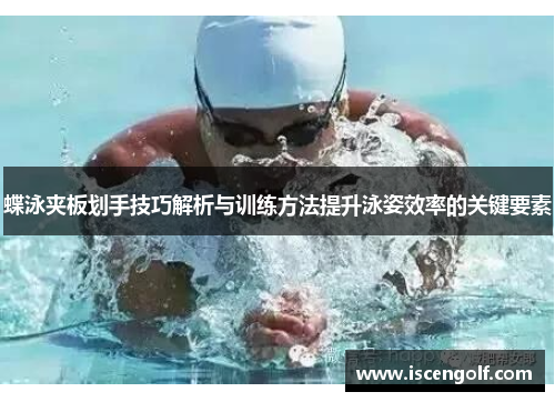 蝶泳夹板划手技巧解析与训练方法提升泳姿效率的关键要素